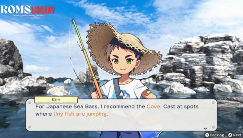 Reel Fishing Days of Summer Game PC
