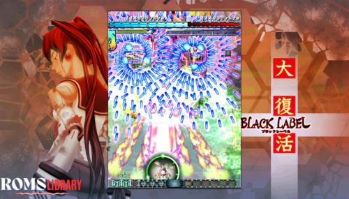 DODONPACHI SAIDAIOUJOU Switch