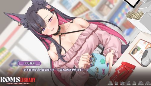 Mirai's Midnight Stream Deluxe Edition Game