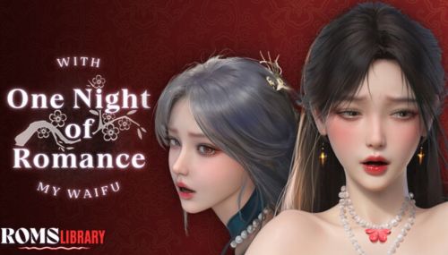 One Night of Romance with my waifu Game