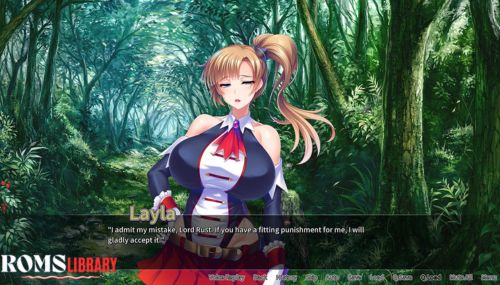 Netori Knights Game